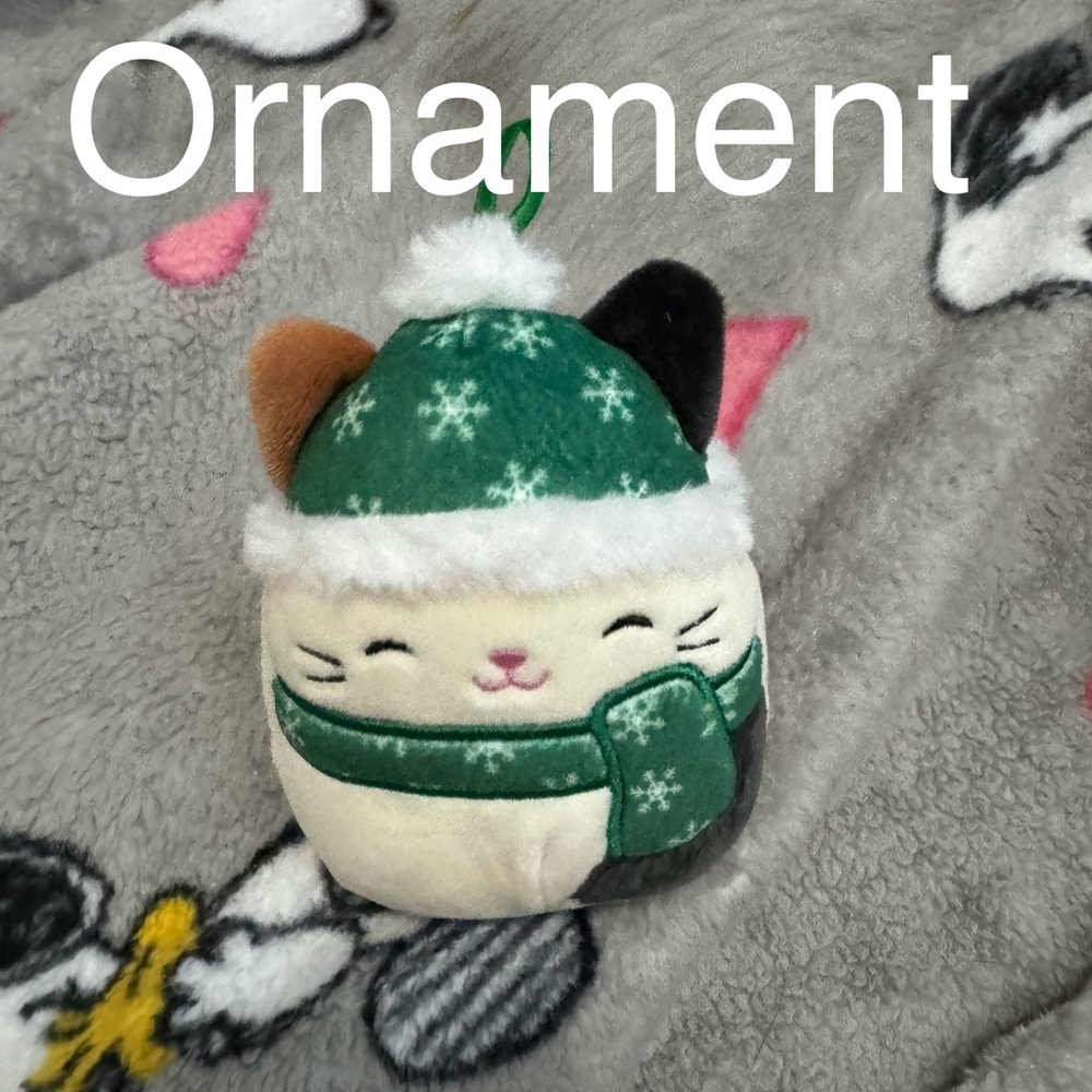 Squishmallows Cam Ornament Green and Black Stuffed Cat